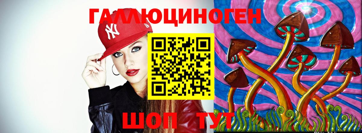 Псилоцибиновые грибы мухоморы Асино