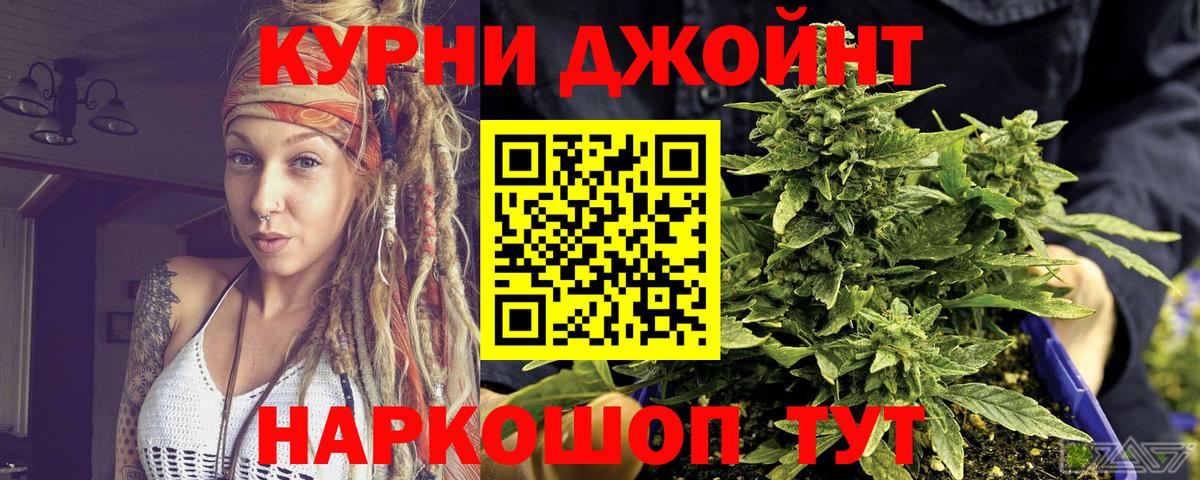 Шишки марихуана MAZAR  Марихуана сатива  Асино  Вход с VPN 